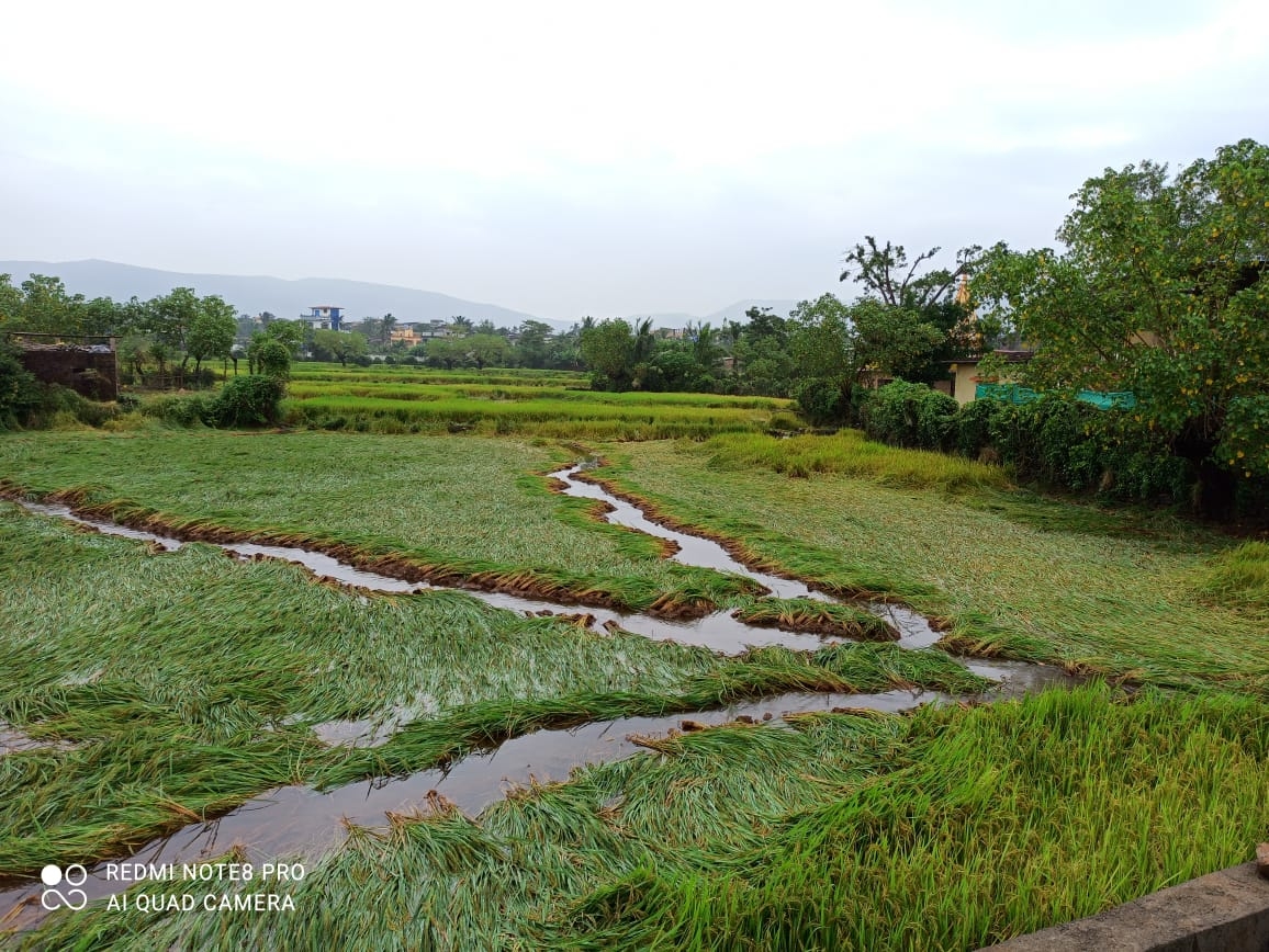 shriwardhan_1  