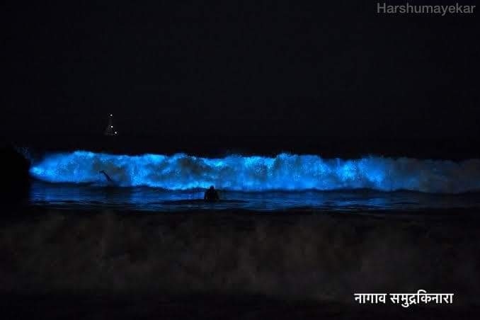 nagaon beach_1  