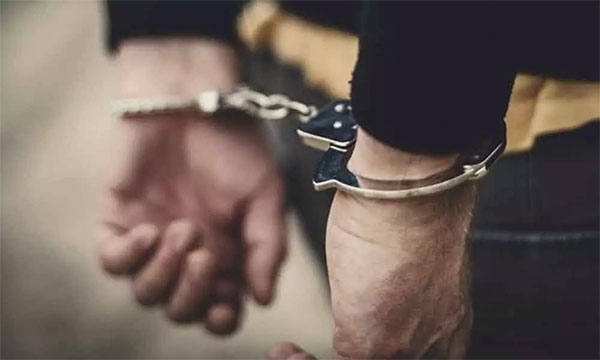 जामिनावर बाहेर येऊन केले 14 गुन्हे! पोलिसांनी ठोकल्या बेड्या - Raigad Times