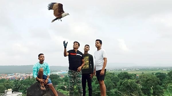 Save Bird_uran_1 &nb