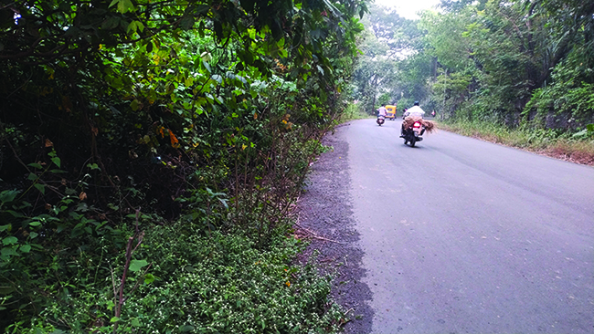 alibag