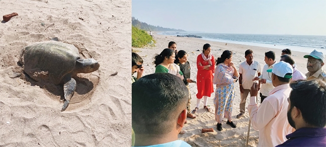 alibag 