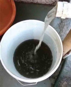 पाली येथील नळांना गढूळ, दूषित पाणी , भाविक, नागरिकांचे आरोग्य धोयात