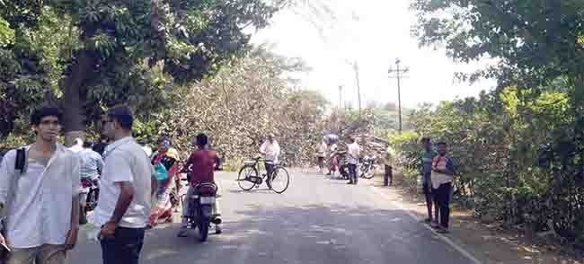 alibag 